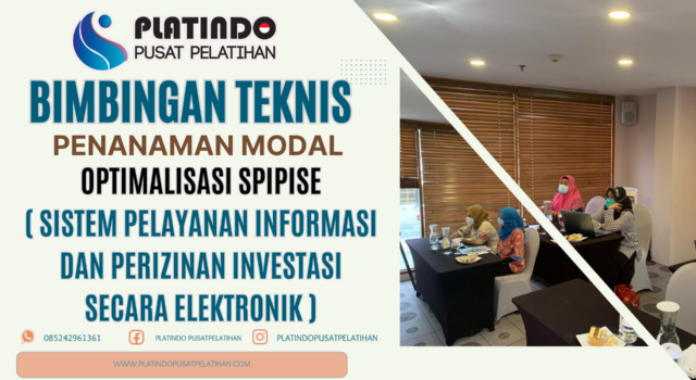 Bimtek Optimalisasi SPIPISE - Sistem Pelayanan Informasi dan Perizinan Investasi Secara Elektronik
